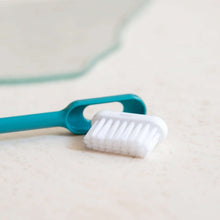 Load image into Gallery viewer, Brosse à dents Caliquo avec tête rechargeable amovible sur surface claire.