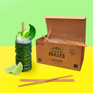 Paille en canne à sucre | 21 cm Ø6mm | Ne ramollit pas | Made In France | 6000 pcs - Novela Global