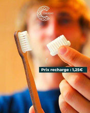 Load image into Gallery viewer, 2 recharges pour brosse à dents Caliquo ou Lamazuna | Novela